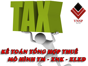 Thực hành kinh nghiệm nghề kế toán tổng hợp thuế mô hình TM - XNK - XLXD